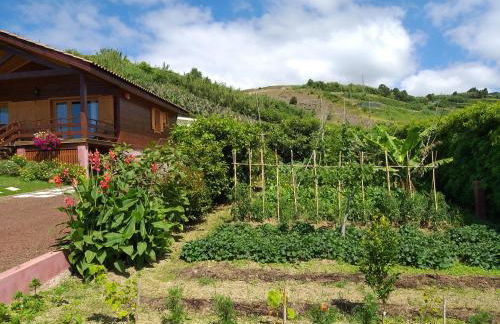 Quinta da Pavoa - Cottage House - Photo 7