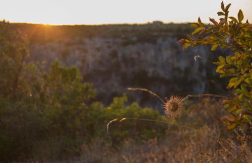 La Ferula Casa Vacanze - Foto 32