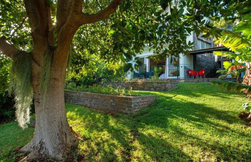 Refugio Dourado - Foto 22