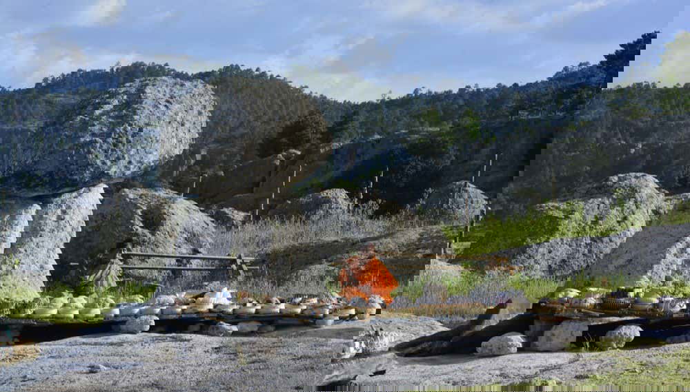 Transfer to Chihuahua + Mennonite Community Lunch - Foto 1