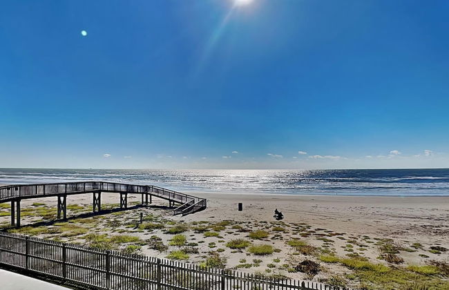 Seascape 1110 - Parrot Paradise - Foto 14