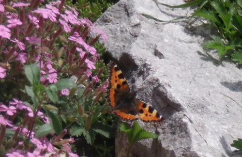 Granerhof Ferien - Foto 13