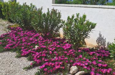 Villa Belvedere - Photo 25