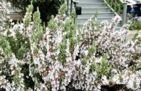 Monteith Hideaway in Downtown Monteith District - Foto 36