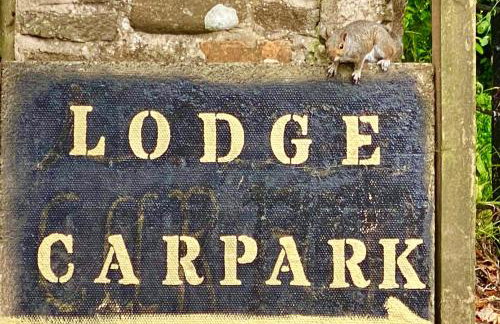 Unique Orchard Lodge for couples with hot tub - Photo 14