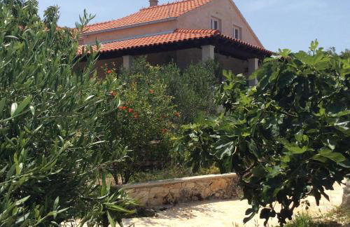 Villa Belvedere Žiža - Photo 32