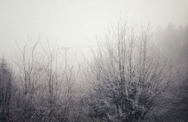 Ebnisee Apartments - Foto 36