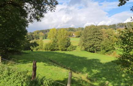 FeWo Harling - Waldoase - Foto 31