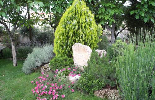 El Rincon de Pepa - Foto 4