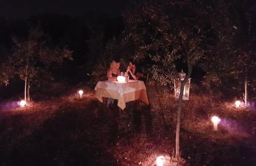 Antico Uliveto - Foto 35