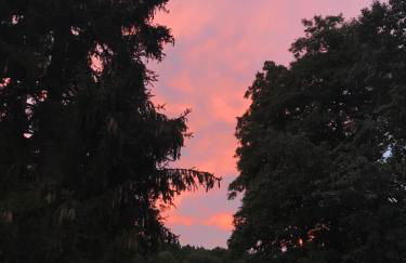 Villa Kersdorf - Foto 28