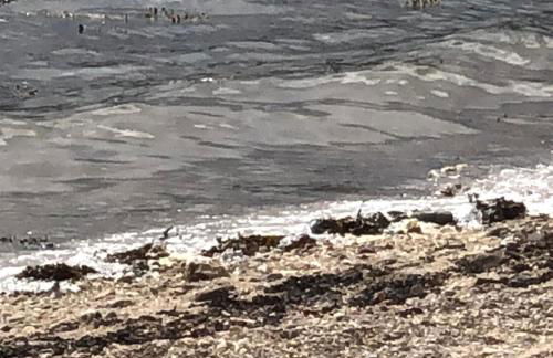 Brookwood Sea View 14 - Foto 6