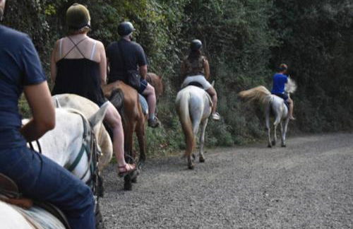 Wonderful house in the mountains with sea views - Foto 25