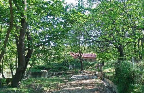 Hani Kastania - Chania retreat for families and groups for holidays and workshops - Foto 44