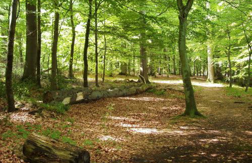 Gut Kattenhöhlen - Foto 16