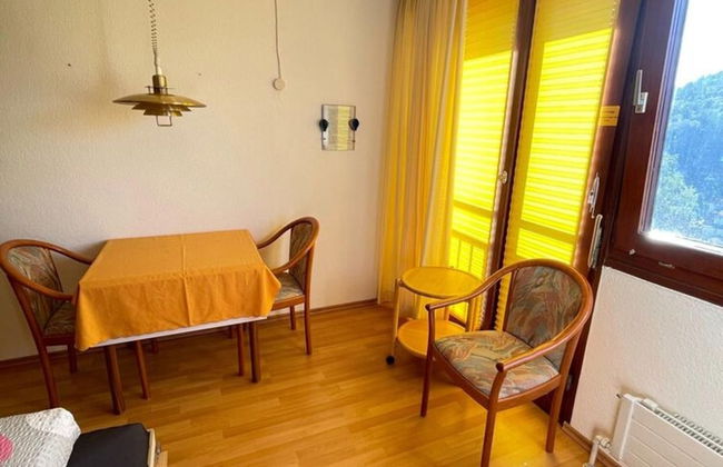 Apartment in Bad Herrenalb With Indoor Pool - Foto 22