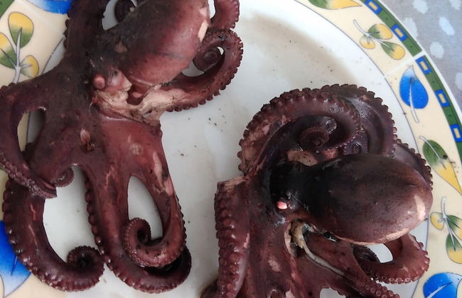 Seafront House Le Finestre Sul Mare With Balcony - Photo 19