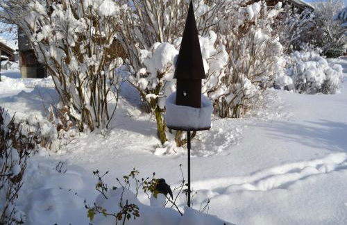 Pichler Roswitha - Foto 18