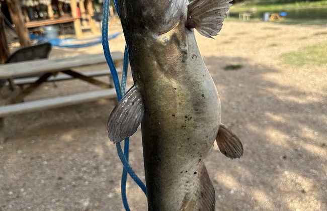 14 Blue River Camp - Glamping Cabin - Foto 10