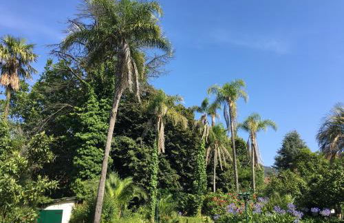 Vila Aurora - Foto 18