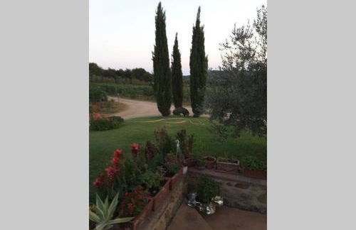 wine apartment le sedici - Foto 32