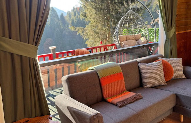 Ayder Guven Dag Evi - Photo 39