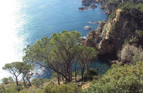 Apartamento Victor - Foto 30