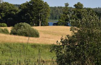 Siedlisko Szwałk - Foto 7