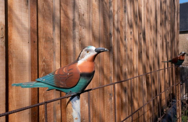Cosy Flat in South Limburg Near Maastricht - Foto 28
