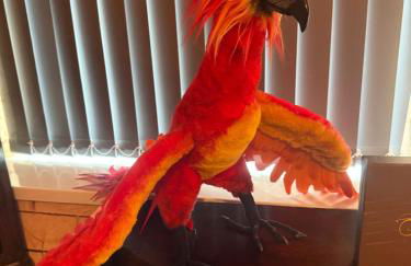 Potters Hideout- 2 Bedroom 2 Bathroom Apartment - Foto 4