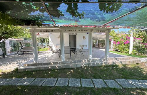 Hermes Grove - Foto 2