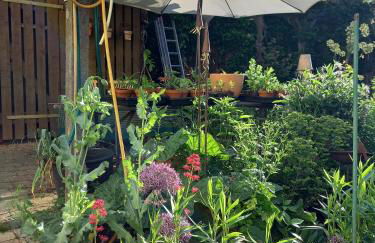 Freilandhof - Foto 1