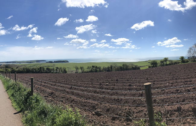 Little Mead - Foto 17