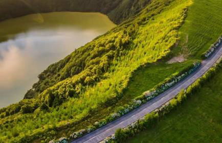 Blue And Gold Cozy Home - Photo 25