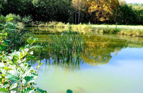 Agroturystyka Różanka - Foto 7