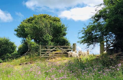 Anglesey Beach House - Foto 57