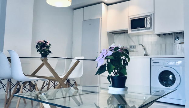 Domus Apartamentos 1 - Photo 4