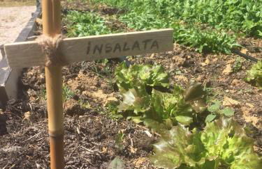 Wine Resort Conti di San Bonifacio - Foto 41