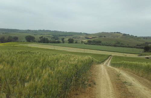 Agriturismo da Remo - Foto 58