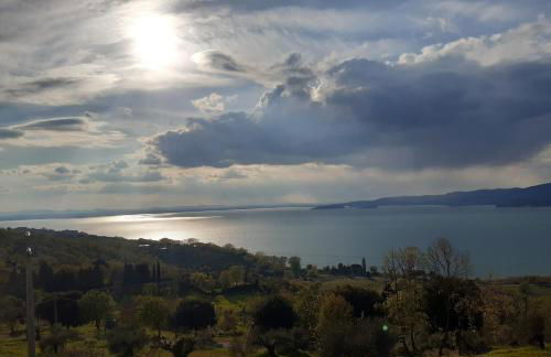 Le Rondini - Photo 29