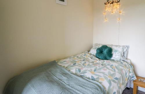 Blaenferwig - Photo 17