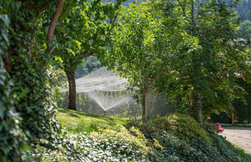 Tribus Lorenz - Wiesgut - Photo 23