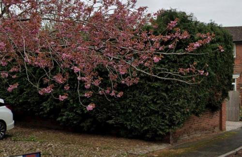 4 bedroom detached house - Foto 19