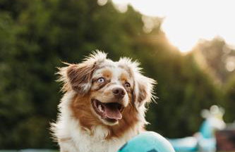 Kwintesencja Natury - Foto 17