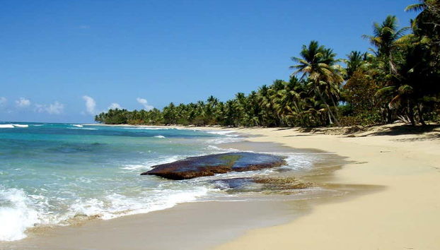 Costa Esmeralda & Punta de la Finca Beaches Horse Ride - Foto 2