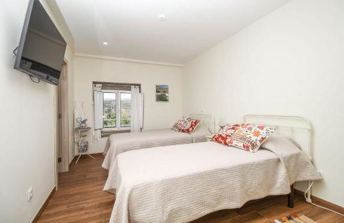 Bosque da Fantasia - Foto 49