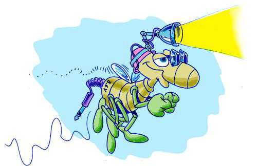 Ruhige Ferienwohnung in seenaher Künstlervilla in Gstadt - Foto 47