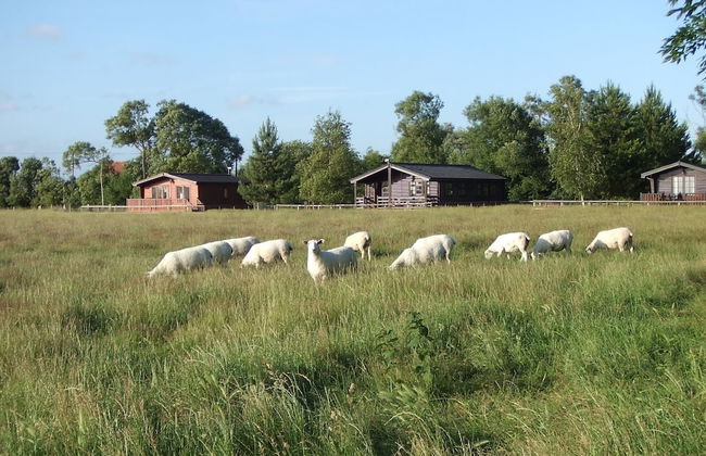 Spacious Cottage With Sauna Looking out on Astonishing Grasslands - Photo 65