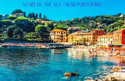 ELEGANT HOUSE BY THE SEA RAPALLO - 50 meters from the beach ,near Portofino - Photo 8