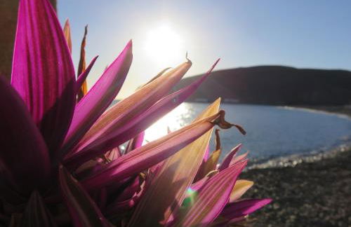 Cala Apartamentos - Photo 22